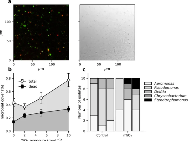 Fig. 4. Total count of colony-forming units associated per zebrafish embryo (1  dpf; white bars) or per zebrafish larva (5 dpf; grey bars) following embryonic  exposure (0-1 dpf) to egg water without nanoparticles (‘Control ’ ; non-hatched,  white fill), a