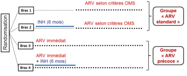 Figure 5: Schéma de randomisation de l’essai Temprano-ANRS 12136.  