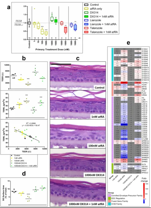 Figure 4: DX314 protects barrier function in RHE. (a) Transepithelial electrical resistance (TEER) in  healthy RHE