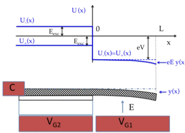 FIG. 1. Schematic of the system considered: a CNT laying on a magnetic substrate (C) and protruding out of a length L