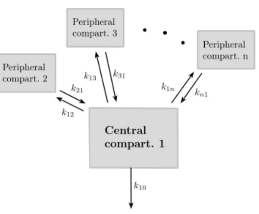 Fig. 1. A general n-compartment mammillary model for different sources of variability in drug concentrations.
