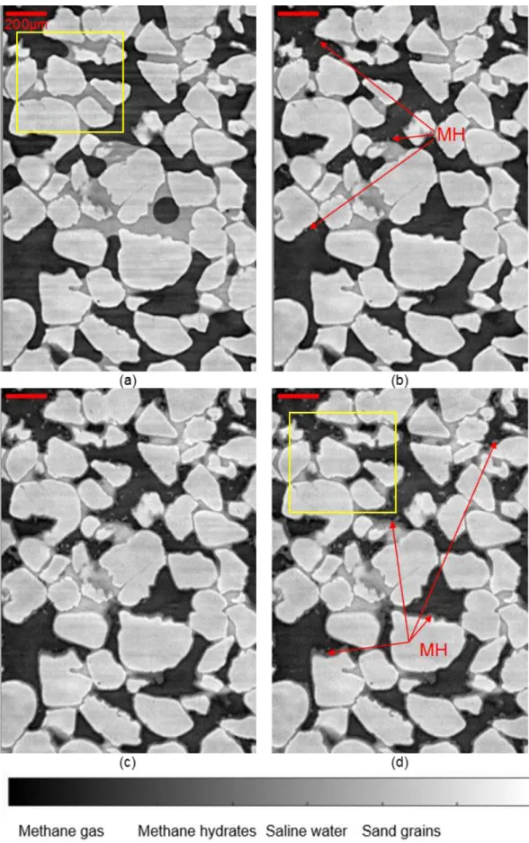 Figure 4. Vertical cross-section through Z0_HR: (a) t = 0; (b) t = 0.58 h; (b) t = 4 h; (c)  t = 4.5h