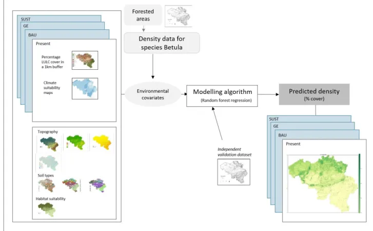 Figure 1. Overall approach for the modelling of Betula densities in 2014 following 3 main climate and land  use change scenarii (Business As Usual – BAU; Global Economy – GE; and Sustainability – SUST)