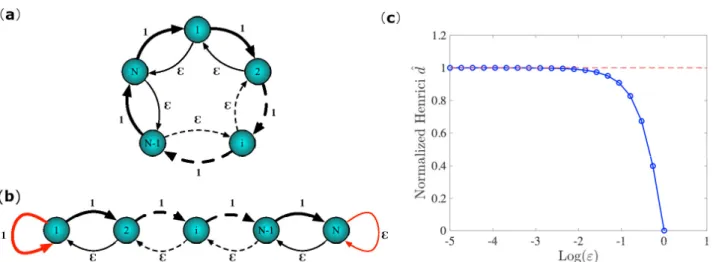 Figure 1. The network toy models for the case of a normal bidirectional circulant network, panel (a), and a non-normal bidirectional chain, panel (b)