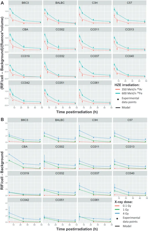 FIG. 3. Time dependence of the average number of normalized RIF/cell and corresponding fits based on the proposed kinetic model