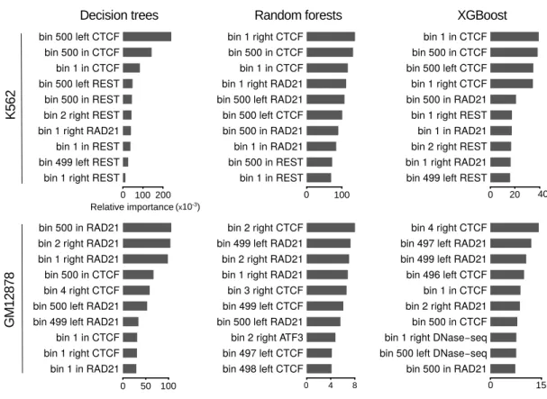 Figure 3. Ranking of top 10 important features for the prediction of RAD21 chromatin loops.