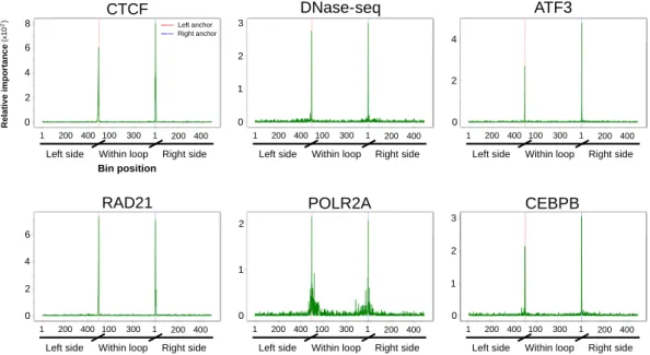 Figure 4. Position specific importance of selected high-throughput sequencing datasets in GM12878 cell line