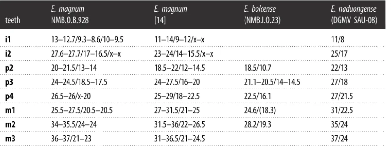 Table 1. Measurements of the lower teeth of NMB.O.B.928 compared with other species of Epiaceratherium