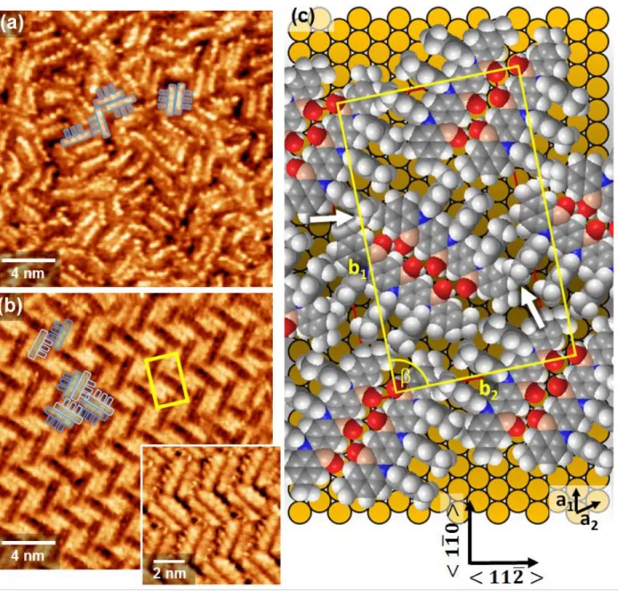 Figure 8. STM images of α-3BNOH monolayers on Au(111) prepared at 343 K from 400 μM DMF solution  (a) and at room temperature from 150 μM DMF solution (b) with inset showing the layer at different  tun-neling contrast