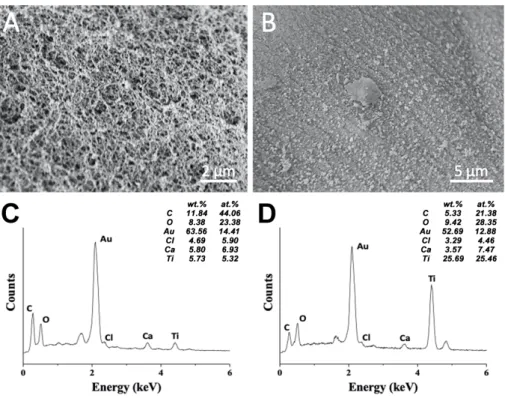Figure 4. Elemental composition of an alginate@TiO 2  microcapsule. SEM micrographs of  the core (A) and the shell (B) of an alginate@TiO 2  microcapsule