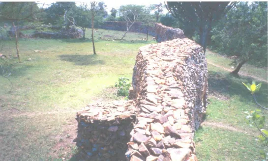 Figure 2. Thimlich Ohinga Complex site showing a section of the wall with interlocking  pattern and 3-phase design used in construction for structural stability