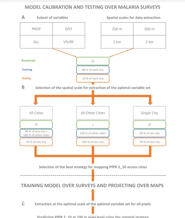 Figure 3. Schematic representation of the workflow followed in this study for modeling Pf PR 2−10 across nine African cities.