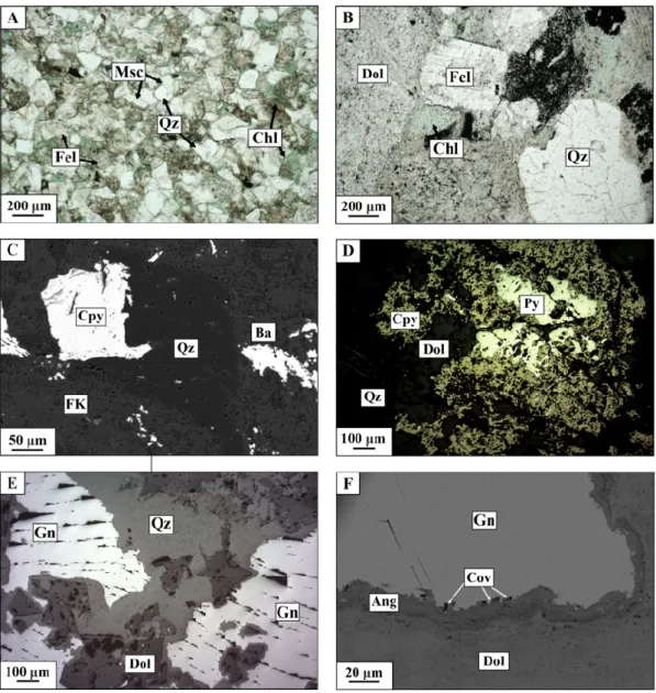 Figure  5.  Representative  samples  and  observations  of  the  host  rocks:  transmitted  polarized  light  microphotographs (a,b), SEM microphotographs in backscattered electrons mode (c,f) and reflected  polarized light microphotographs (d,e)