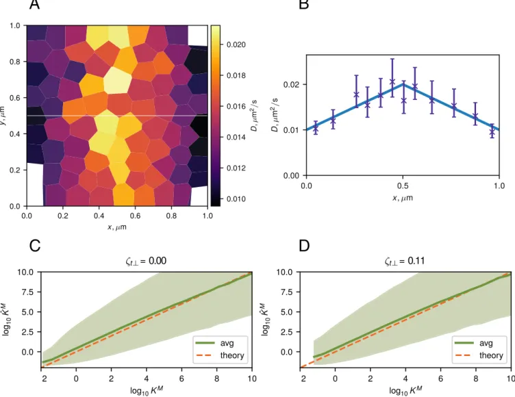 Figure 2: A ) A diffusivity map inferred using the TRamWAy software platform 66 . The white line y = 0 