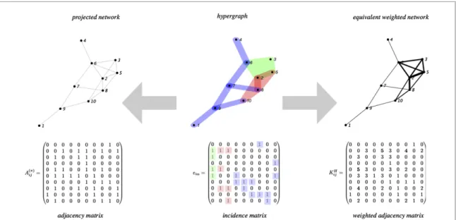 Figure 1. Hypergraph and networks. In the middle panel, a hypergraph is displayed. Hyperedges are coloured according to their size (blue for size 2, red for size 3 and green for size 4)