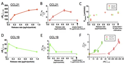 Fig. 3. Receptor occupancy gradients predict human leukocyte chemotactic responses toCCL19 vs
