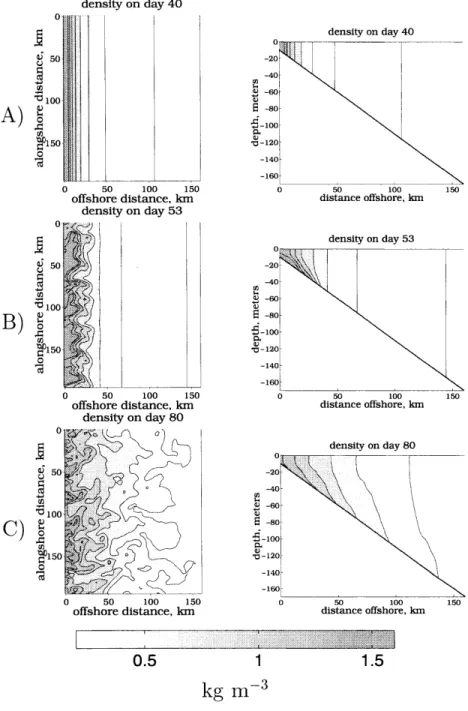 Figure  3.2:  The  lefthand  plots  are  of  the  depth  averaged  density,  the  righthand  of  the alongshelf  averaged  density