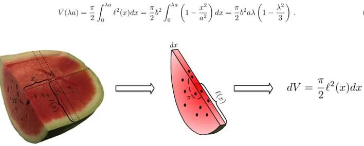FIG. 4: Geometry for the computation of the volume of the slice. We ideally slice the large piece of watermelon into arbitrarily tiny slices of width dx (on the left panel)