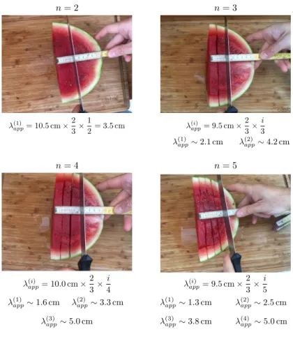 FIG. 8: The approximated cuts realised in the experiment. We report the approximated cuts realised in the experiment using the formula λ (i) app a = a × 2/3 × i/n, where a is the semi-major axis of the spheroid (the watermelon) for several values of n: n =