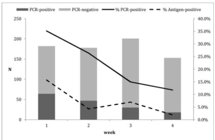 Fig. 1. Evolution of the number of positive and negative PCRs among samples sent for con ﬁ rmation of negative antigenic testing and the percentage of  posi-tive PCRs (solid line) and antigenic testing (dashed line) during the 4 weeks of observation.