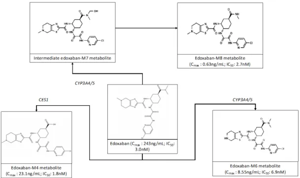 Figure 1: Postulated edoxaban metabolism for active metabolites  4