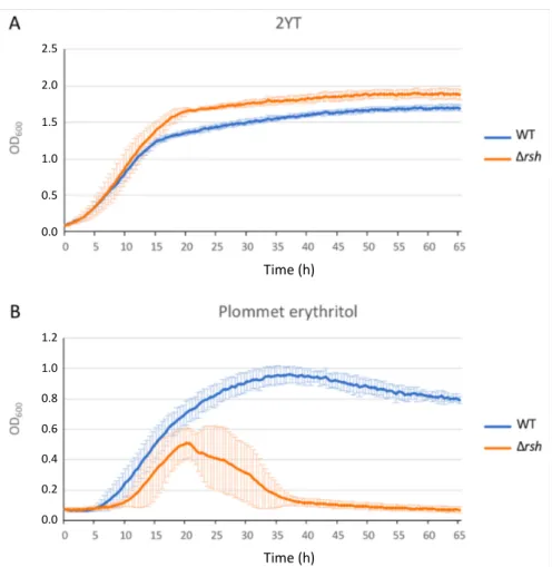 Figure 1. Growth of the ∆rsh mutant in 2YT rich medium (A) and in Plommet erythritol minimal medium (B)