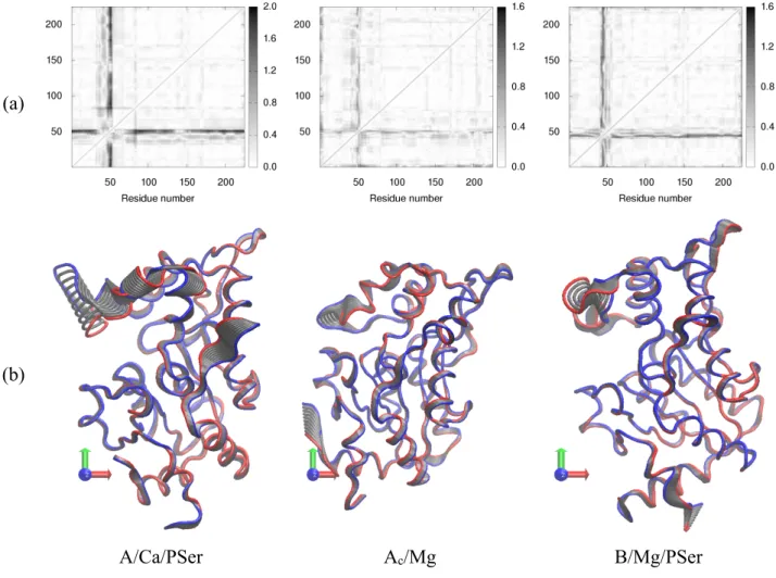Figure 6. (a) | k ij . D d ij | maps calculated using the first PC. Both axes report the residue index number