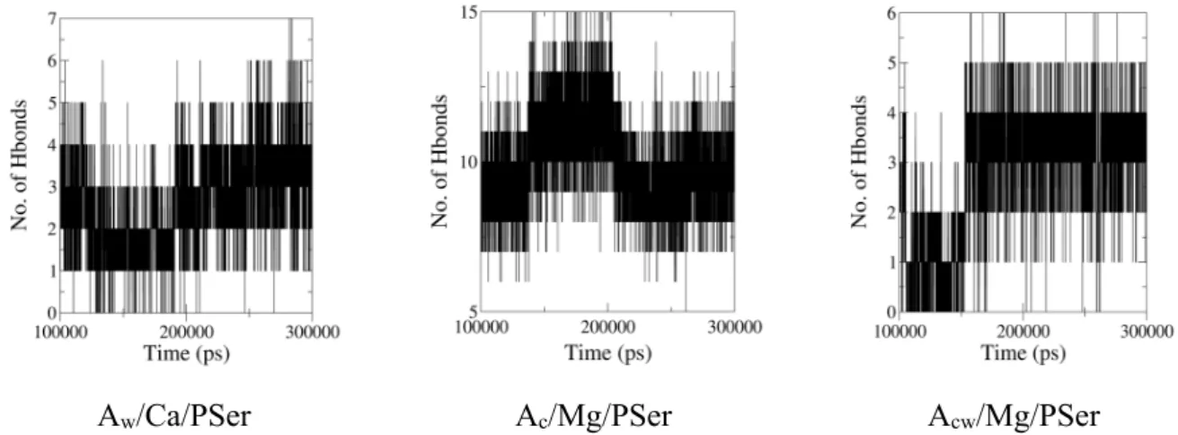 Figure 10. Number of PSer-hPSP Hbonds as obtained from the last 200 ns of MD simulations at 300  K and 1 bar