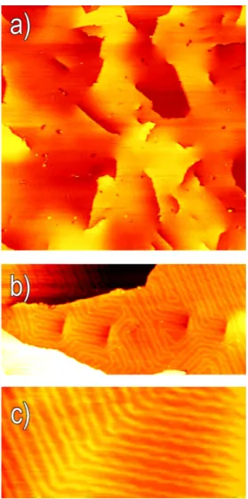 Figure 3: STM images of the Au(111) thin film surface (a) Large scale showing the presence of different defects (360 × 360 nm 2 )