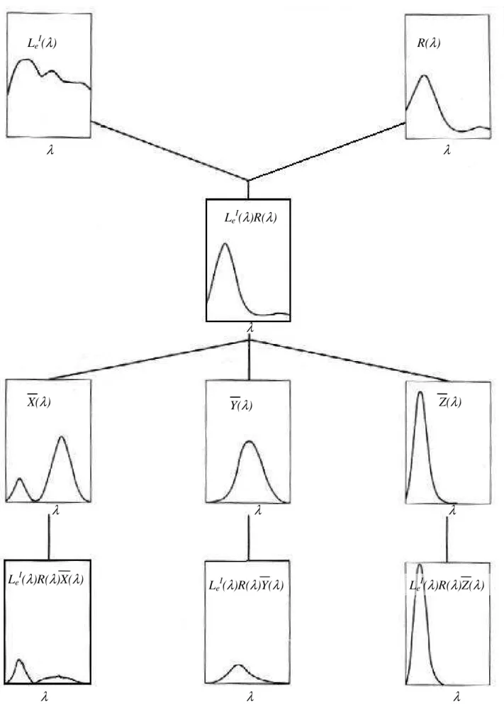 Illustration des Principes de la Spectrocolrorimétrie 