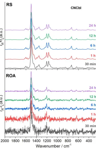 Figure S1. Comparison of RROA spectra of CNCbl recorded in 30 min, 1 h, 6 h, 12 h and 24  h.