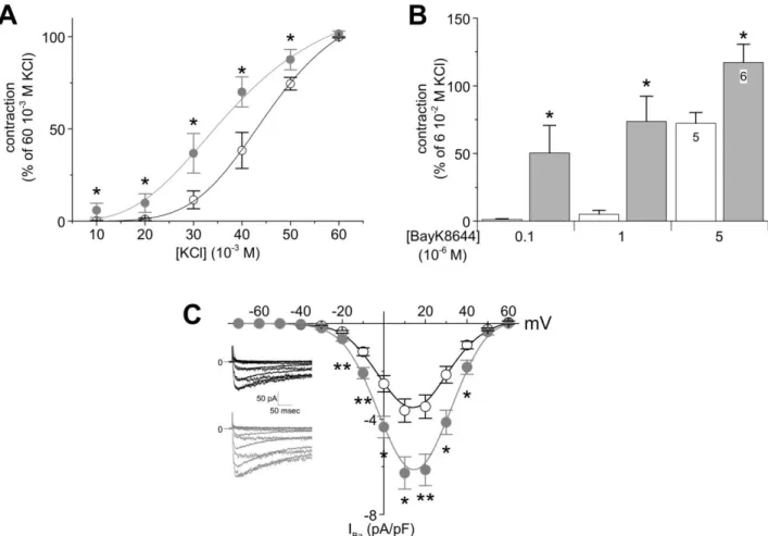 Figure 15. A and B, Depolarization-induced constriction by KCl (A, 6 arterial rings in each group) and by  BayK8644 (B) of endothelium-denuded rat coronary arteries incubated 24 h with 10 -8  M aldosterone (closed  symbols)  or  without  (open  symbols)