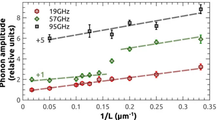 FIG. 6. Acoustic mode amplitude as a function of the inverse of the lateral size 1/L for the first three cavity modes