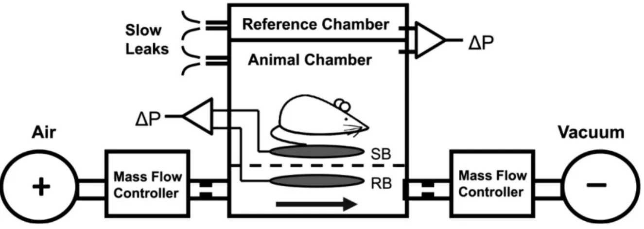 Figure 7: Whole body plethysmography (WBP) open-system schematic. Positive and negative  pressure sources are introduced in series by mass flow controllers to generate a continuous  bias flow through the animal chamber