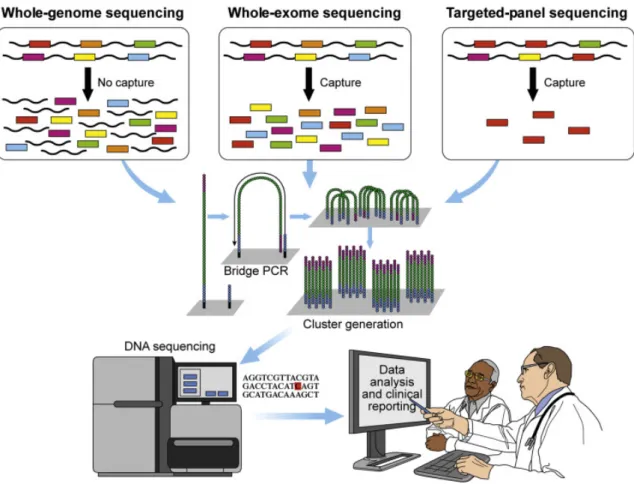 Figure  3:  Différentes méthodes utilisées dans le NGS (WGS, WES, targeted-panel  NGS)