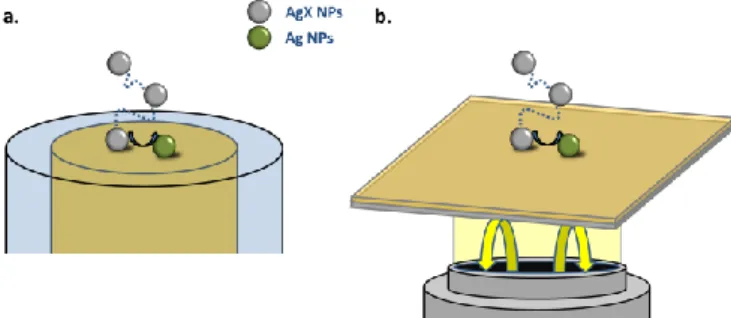 Figure 1. Scheme of the  two experimental setups,  using (a) an UME electrode and (b)  an optical BALM sensor, for probing the stochastic EC collision of single AgX NP on gold  electrode surface