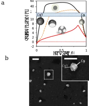 Figure 4. Towards optical quantitative imaging. (a) The simulated  I opt  variations with  the AgX NP conversion into Ag, assuming  the formation of a core-shell structure (black), or of a single  sion Janus-type NP (dashed orange), or multiple mean-fiel