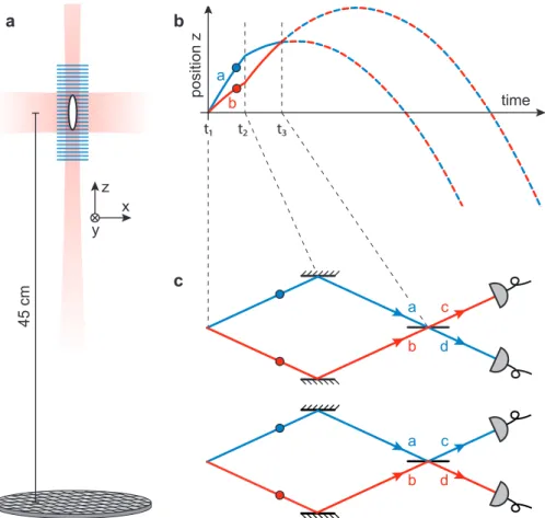 Figure 1 | Schematic of the experiment. a, A Bose–Einstein condensate (BEC, white oval) of metastable Helium 4 atoms is trapped in an elongated optical trap (red shaded area)