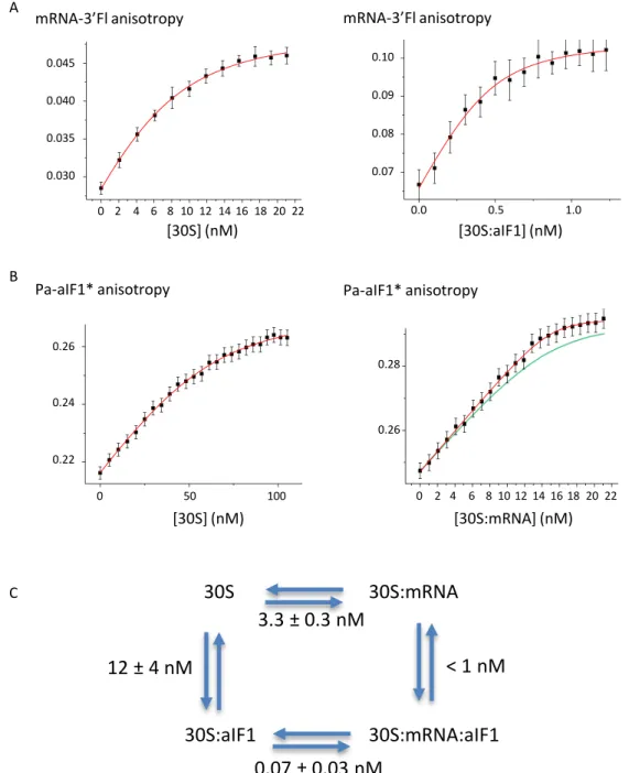 Figure 2. Thermodynamic framework for the binding of Pa-aIF1 and mRNA to Pa-30S. (A) Binding of mRNA-3  Fl to Pa-30S and to Pa-30S:aIF1 complexes