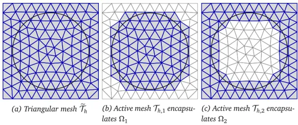 Figure 3.1. 2D Triangular mesh is divided into two parts T h,1 and T h,2 as depicted in (b) and (c) due to the interface Γ , elements which belong to the respective domain are shaded.
