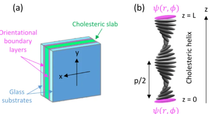 FIG. 1. (a) Illustration of our Bragg-Berry optical elements made of a cholesteric liquid-crystal film sandwiched between glass  sub-strates provided with identical photopatterned orientational  bound-ary layers