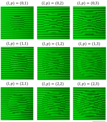 FIG. 4. Interferogram in the plane of the sample obtained at 532- 532-nm wavelength obtained from a Michelson interferometer by using the Bragg-Berry optical element as one of the two mirrors of the interferometer for l = (0, 1, 2) and p = (1, 2, 3).