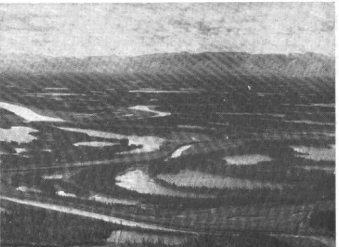 Fig.  4.  Spring break-up at Aklavik, June 5,1954.