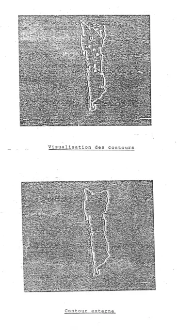 Figure 17 : Contours internes et externe d’un objet