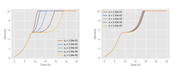 Figure 5: Effects of changes in the switch parameter η ¯ 1 (left) and in the inhibition coefficient k i (right) on the diauxic growth.