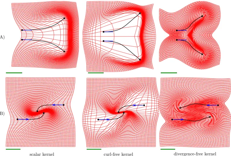 Figure 10: Landmark trajectories in L 2 ( R 2 ) for three different choices of the kernel (scalar, curl-free, and divergence-free); bullets ( • ) and stars (⋆) are the initial and final configurations, respectively, and the arrows are the initial momenta