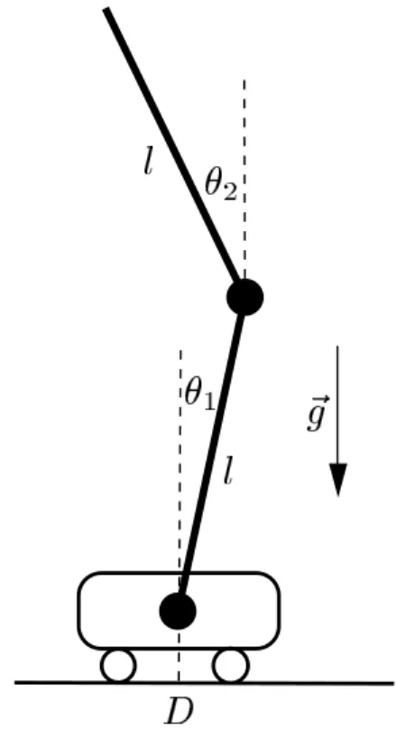Figure 2: The double inverted pendulum.