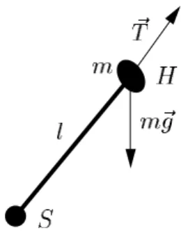 Figure 6: the isochronous pendulum.