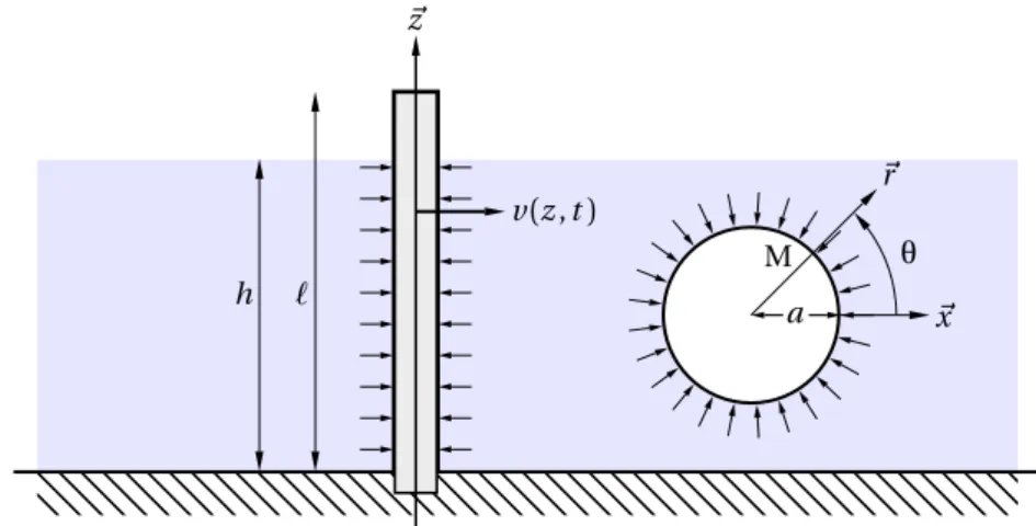 Figure 5.1 – poutre verticale immergée dans un fluide