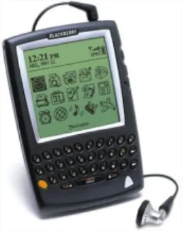 FIGURE : Blackberry 5810